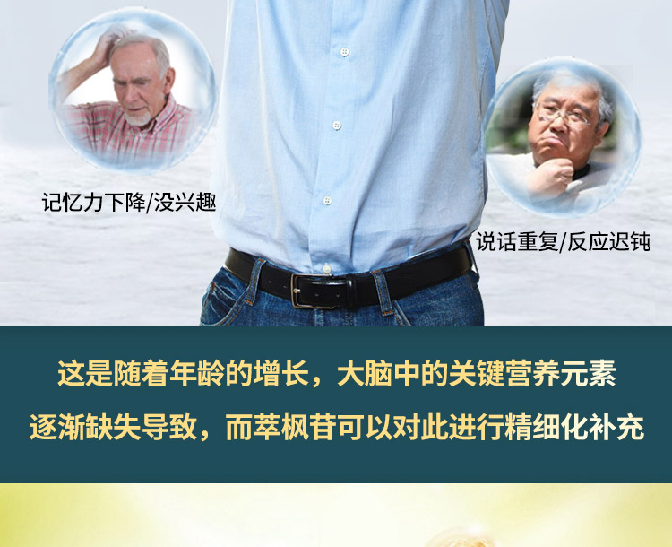 4萃枫苷01.jpg